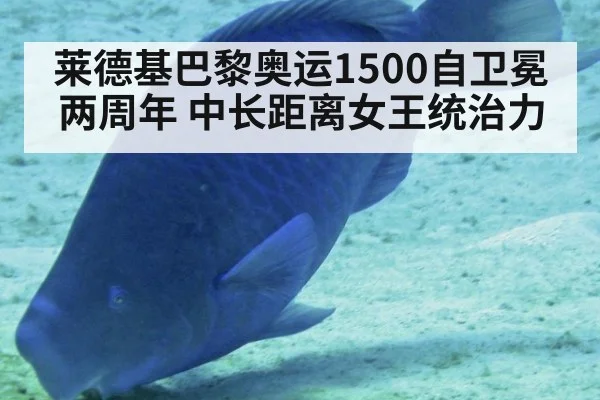 莱德基巴黎奥运1500自卫冕两周年 中长距离女王统治力