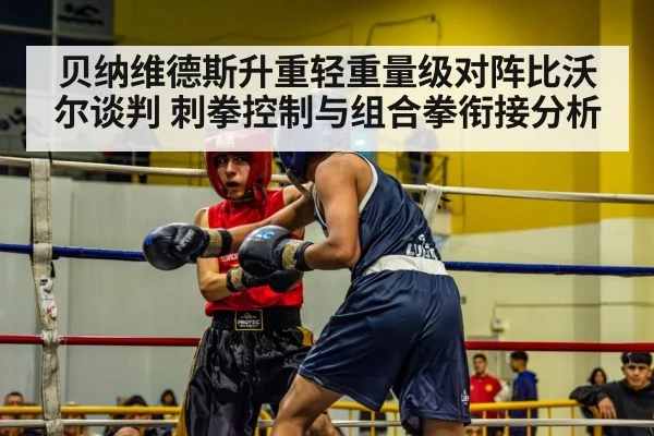 贝纳维德斯升重轻重量级对阵比沃尔谈判 刺拳控制与组合拳衔接分析