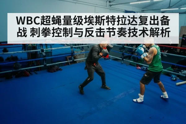 boxer counter punch footwork