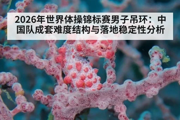 2026年世界体操锦标赛男子吊环：中国队成套难度结构与落地稳定性分析